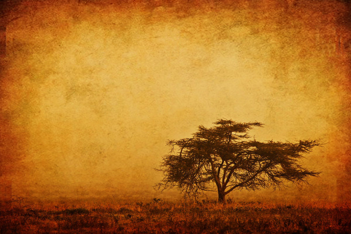 3-piece-aluminium-print-sunset-mood