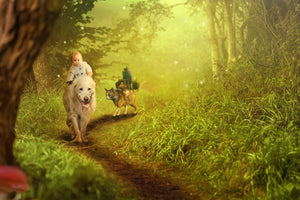 3-piece-canvas-print-forest-excursion