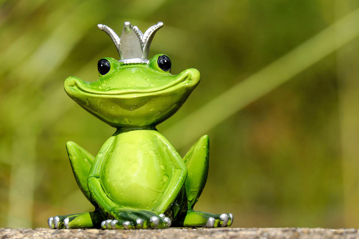 aluminium-print-mr-frog-king