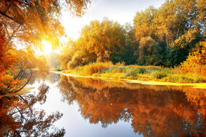 3-piece-canvas-print-forest-reflection-in-water