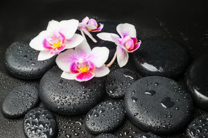 modern-3-piece-aluminium-print-feng-shui-orchid-zen