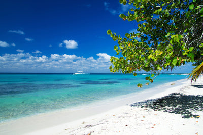 poster-print-happy-beach