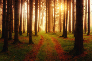 framedcanvas-print-the-unknown-way