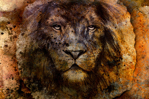 framedcanvas-print-portrait-of-a-lion-ii