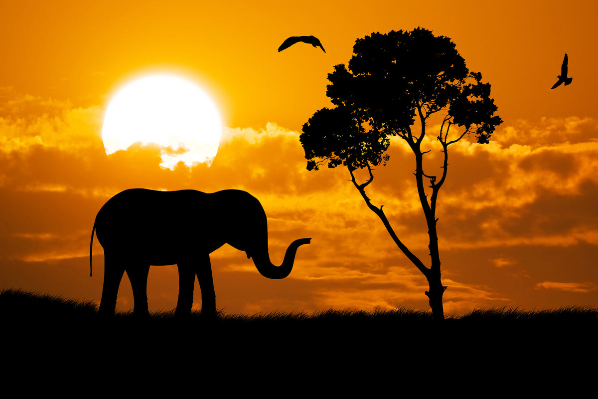 acrylic-print-dreamy-africa