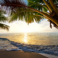 aluminium-print-beach-view