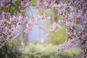 modern-3-piece-aluminium-print-in-the-beautiful-spring