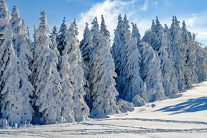 aluminium-print-beautiful-winter-landscape