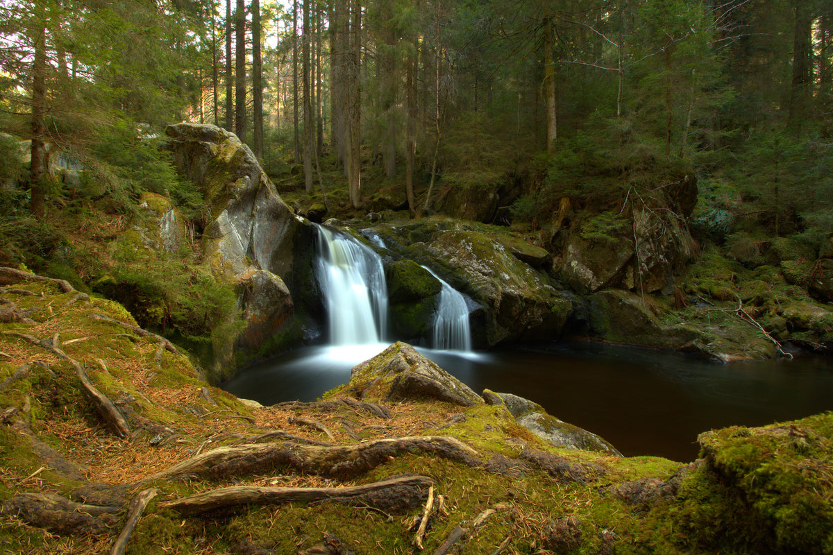 aluminium-print-small-waterfall-in-the-forest