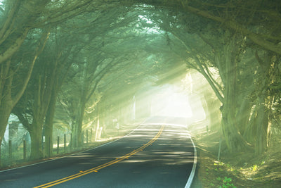 poster-print-the-avenue