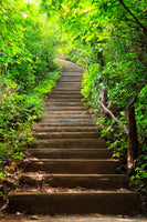 canvas-print-wood-stairs