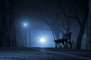 aluminium-print-at-night-in-the-park