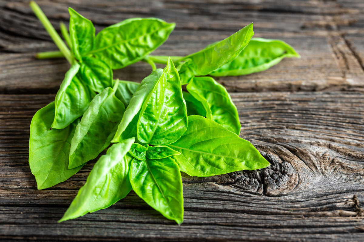 modern-3-piece-acrylic-print-basil-leaves-ii