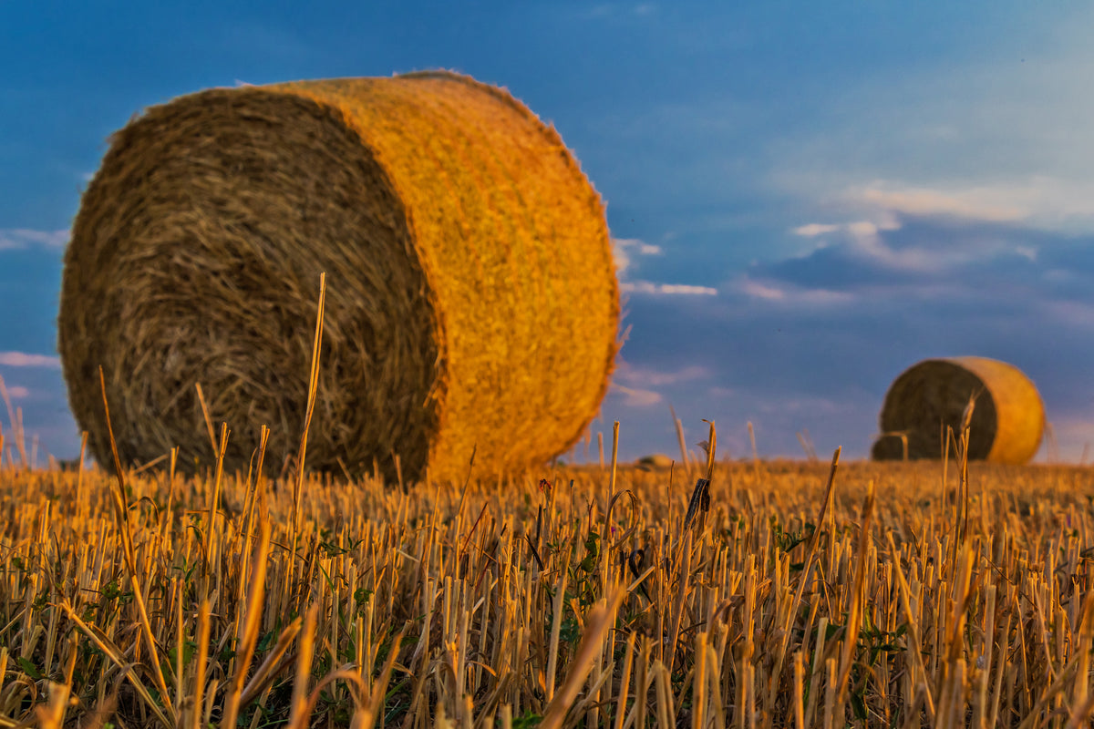 framedposter-print-straw-bales