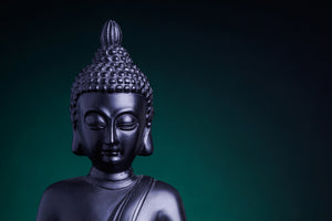 aluminium-print-the-wisdom-of-the-buddha