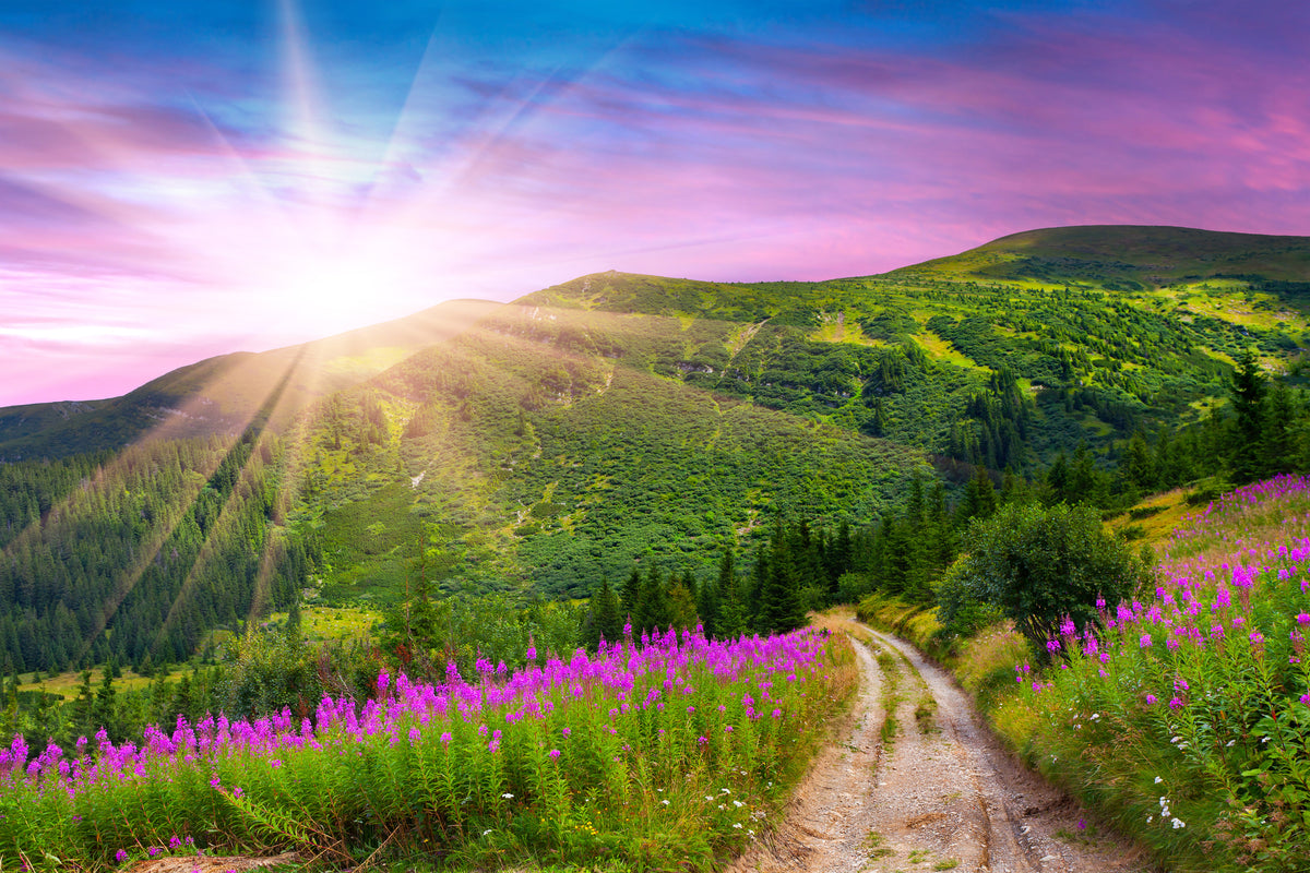 modern-3-piece-aluminium-print-a-summer-landscape-at-sunrise