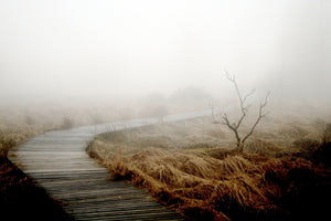 acrylic-print-dense-fog