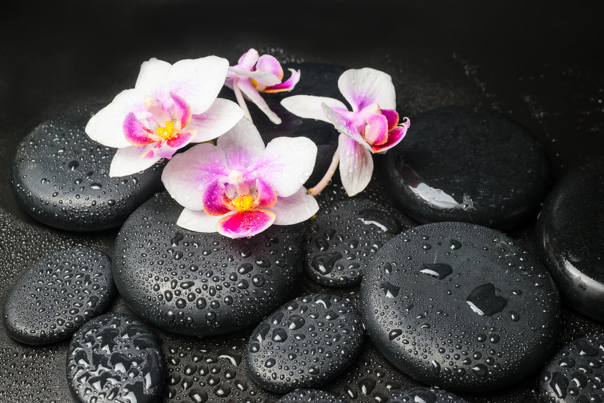 framedcanvas-print-feng-shui-orchid-zen