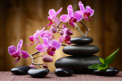 poster-print-wellness-stones