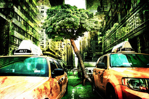 canvas-print-taxi-fantasy