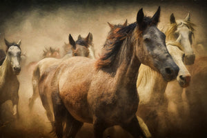 3-piece-aluminium-print-painting-wild-horses