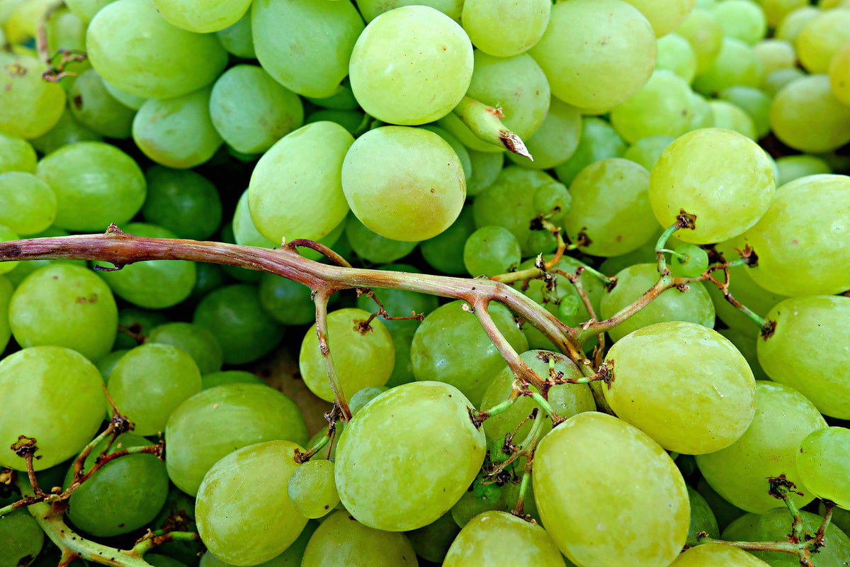 acrylic-print-green-grapes