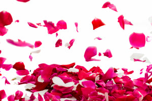 framedcanvas-print-let-it-rain-red-roses-for-me