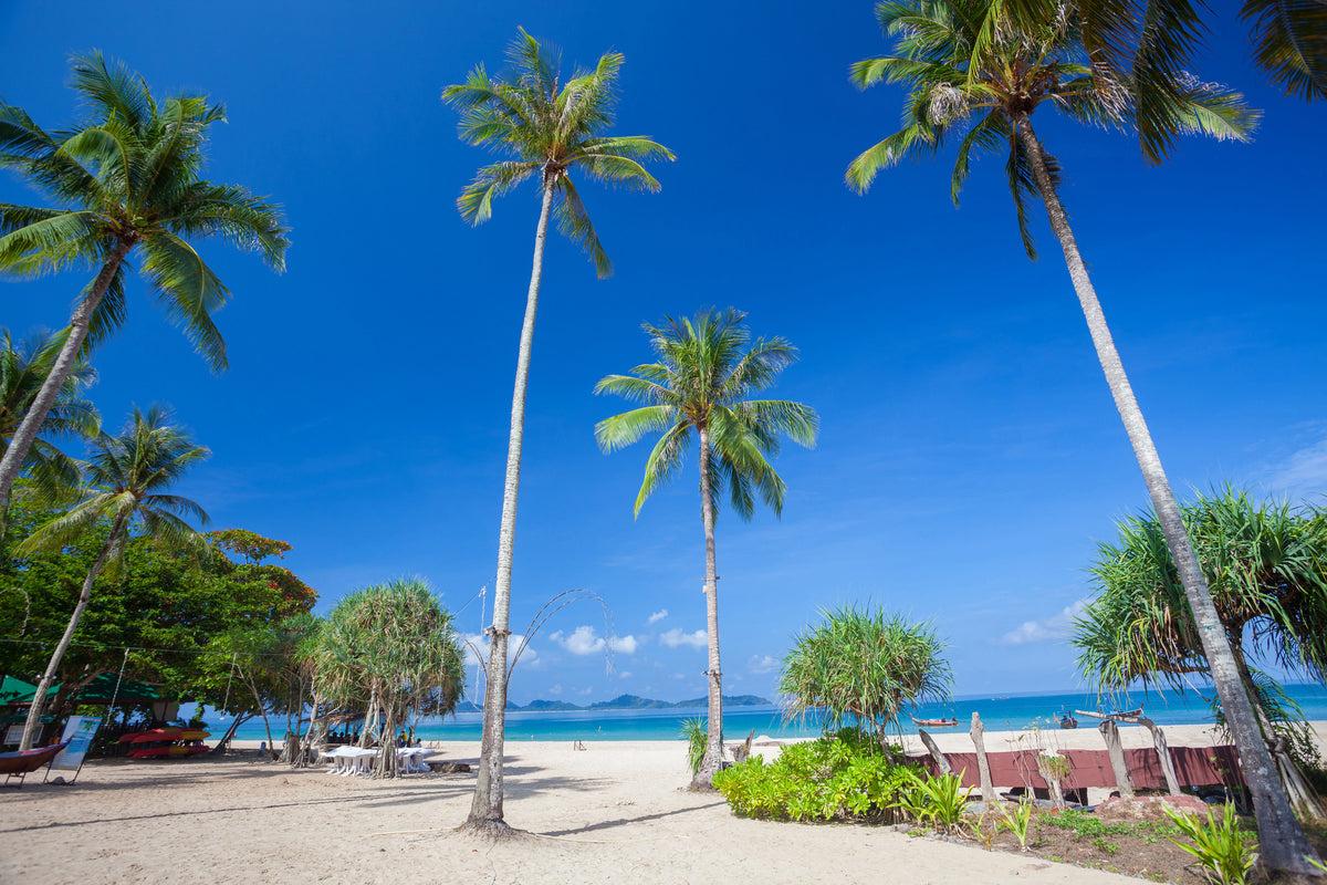 canvas-print-summer-sun-beach