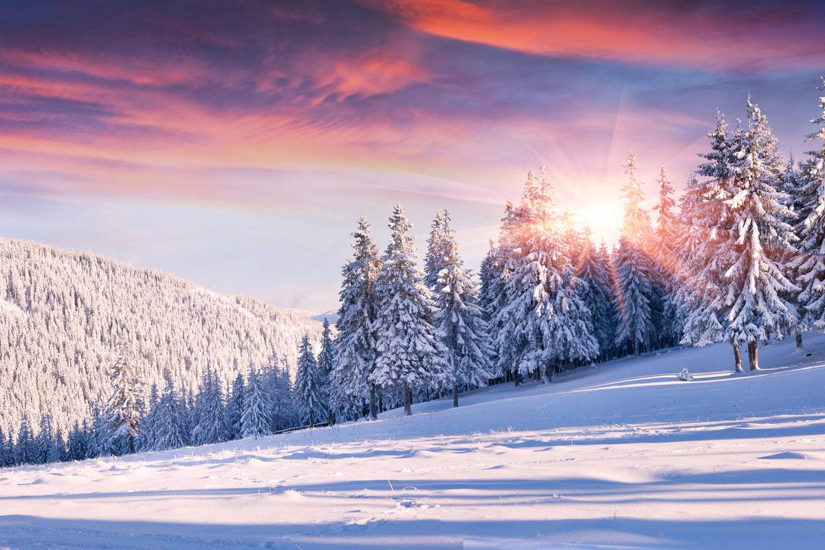 3-piece-canvas-print-winter-landscape