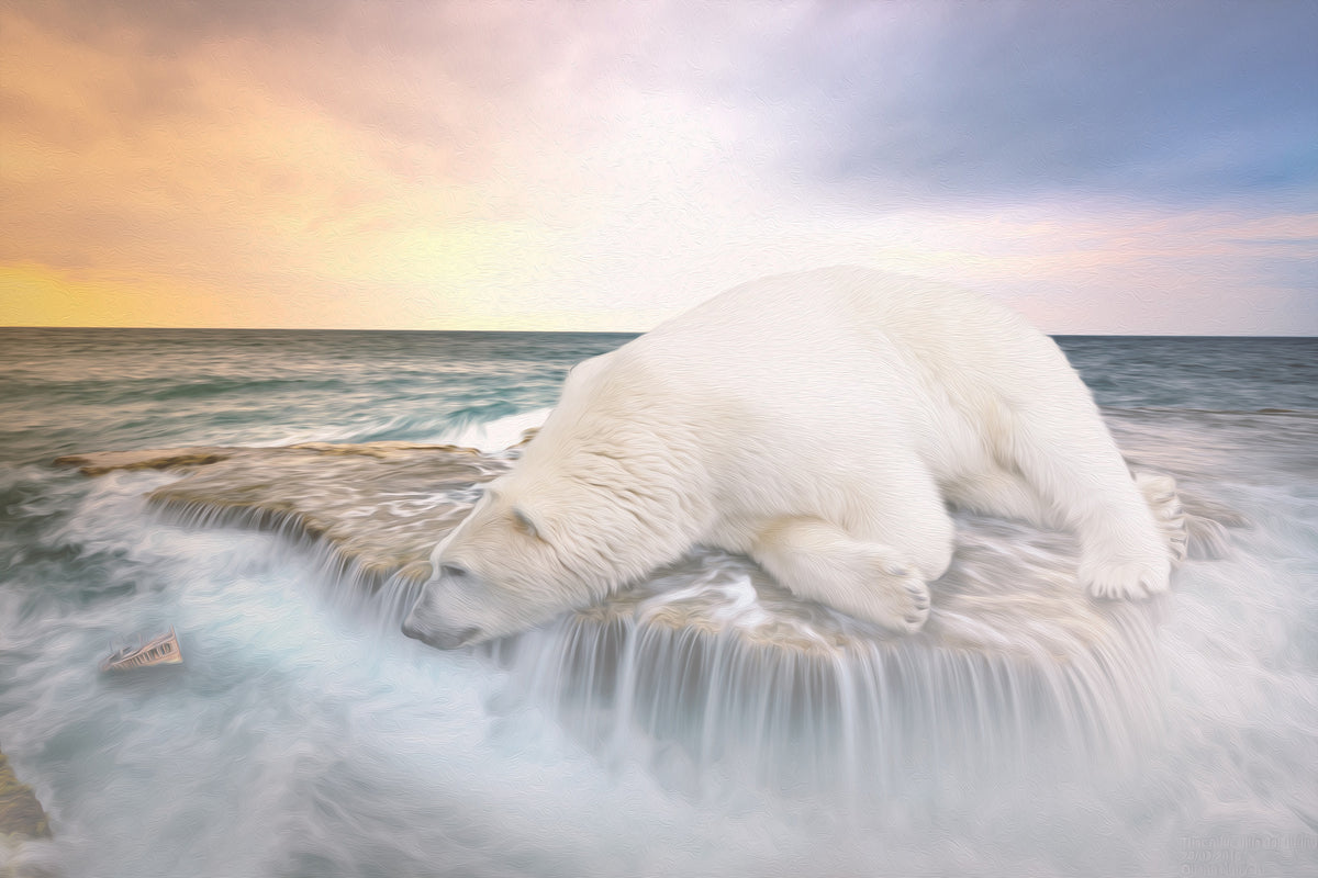 acrylic-print-the-polar-bear-and-the-sea