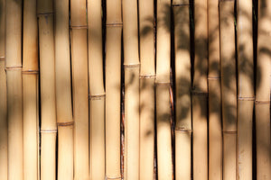 framedcanvas-print-natural-bamboo