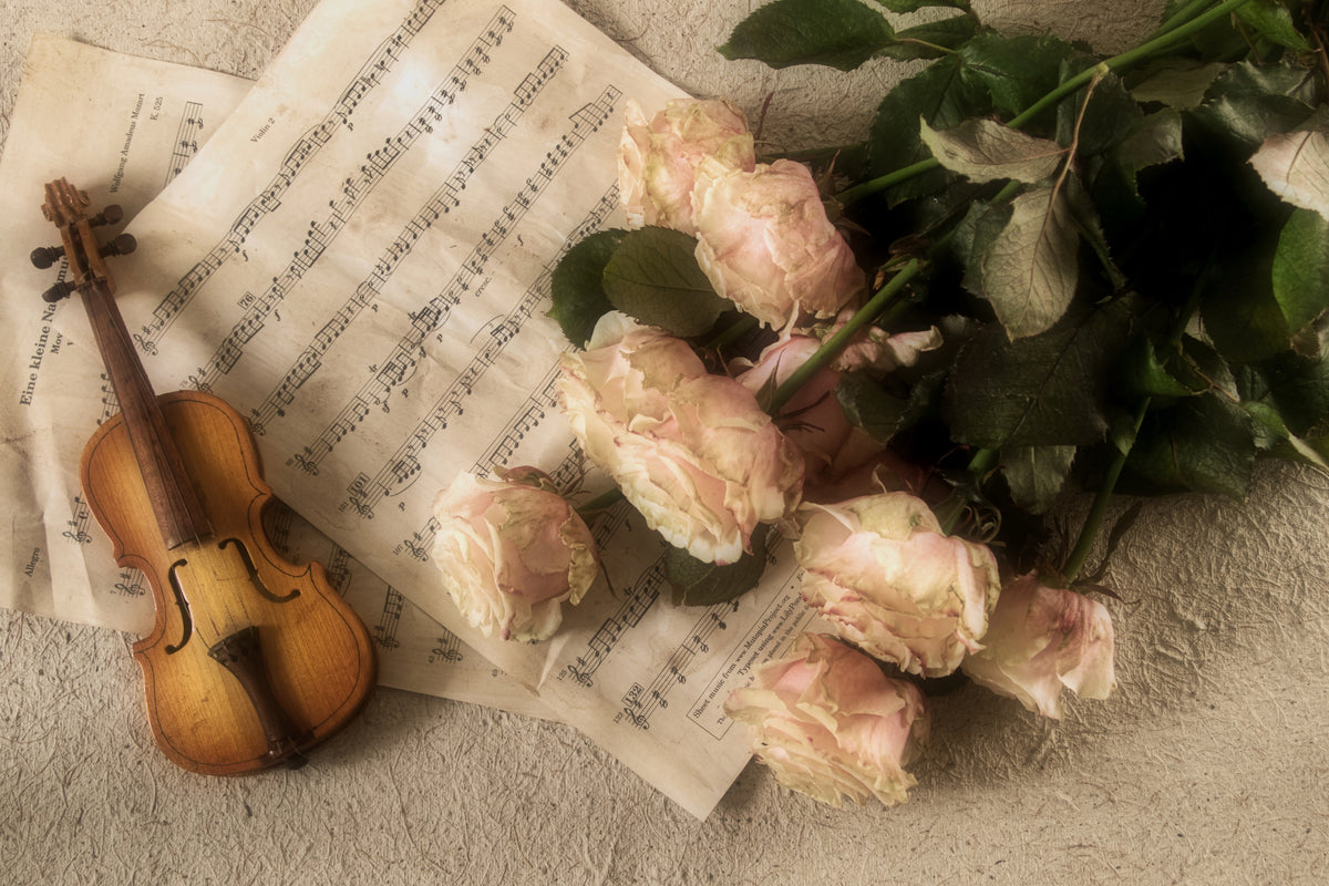 framedposter-print-the-violin