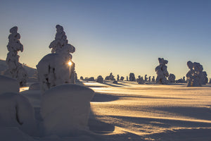 3-piece-aluminium-print-in-lapland