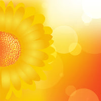 canvas-print-sunflower-power-s