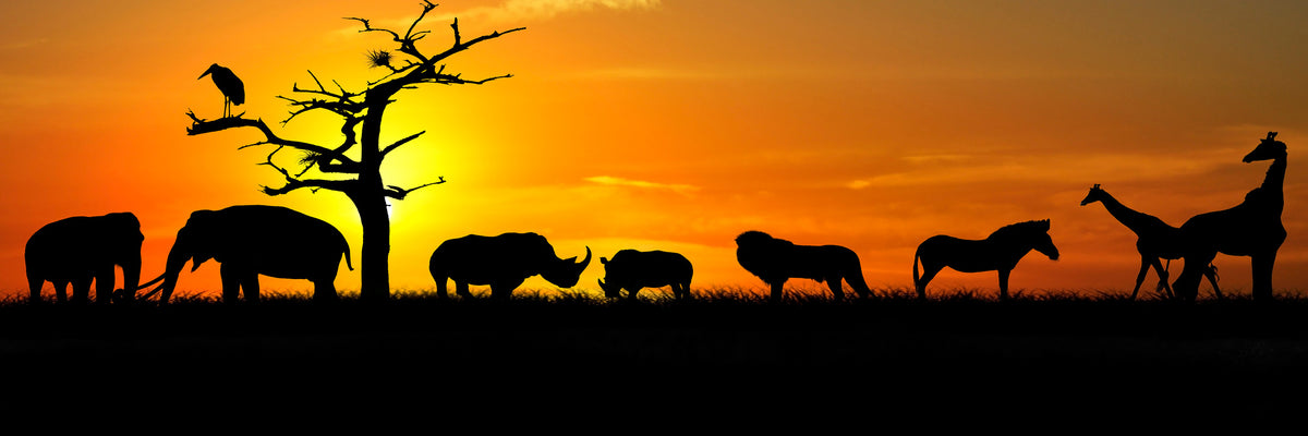 panoramic-3-piece-canvas-print-safari-animals-at-sunset-panorama