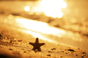 3-piece-canvas-print-the-starfish