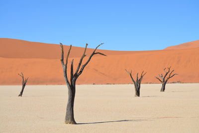 poster-print-sossusvlei-namibia