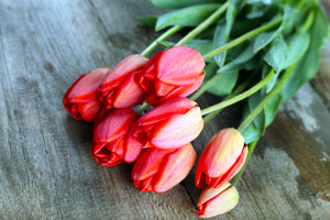 3-piece-acrylic-print-the-red-tulip-bouquet
