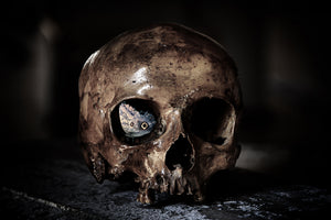 3-piece-aluminium-print-the-skull