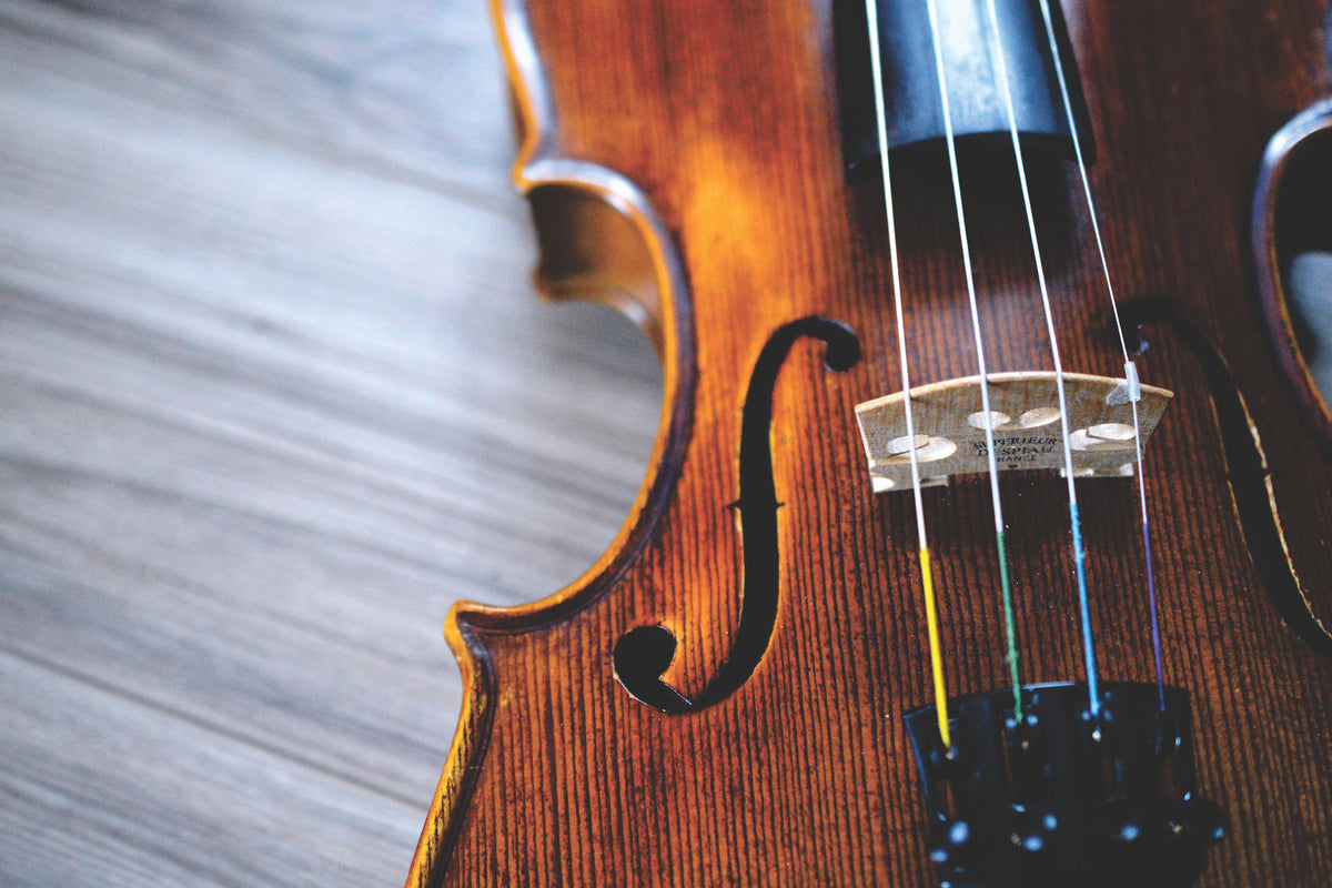 framedposter-print-close-up-violin-ii
