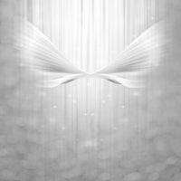 4-piece-canvas-print-angel-wings