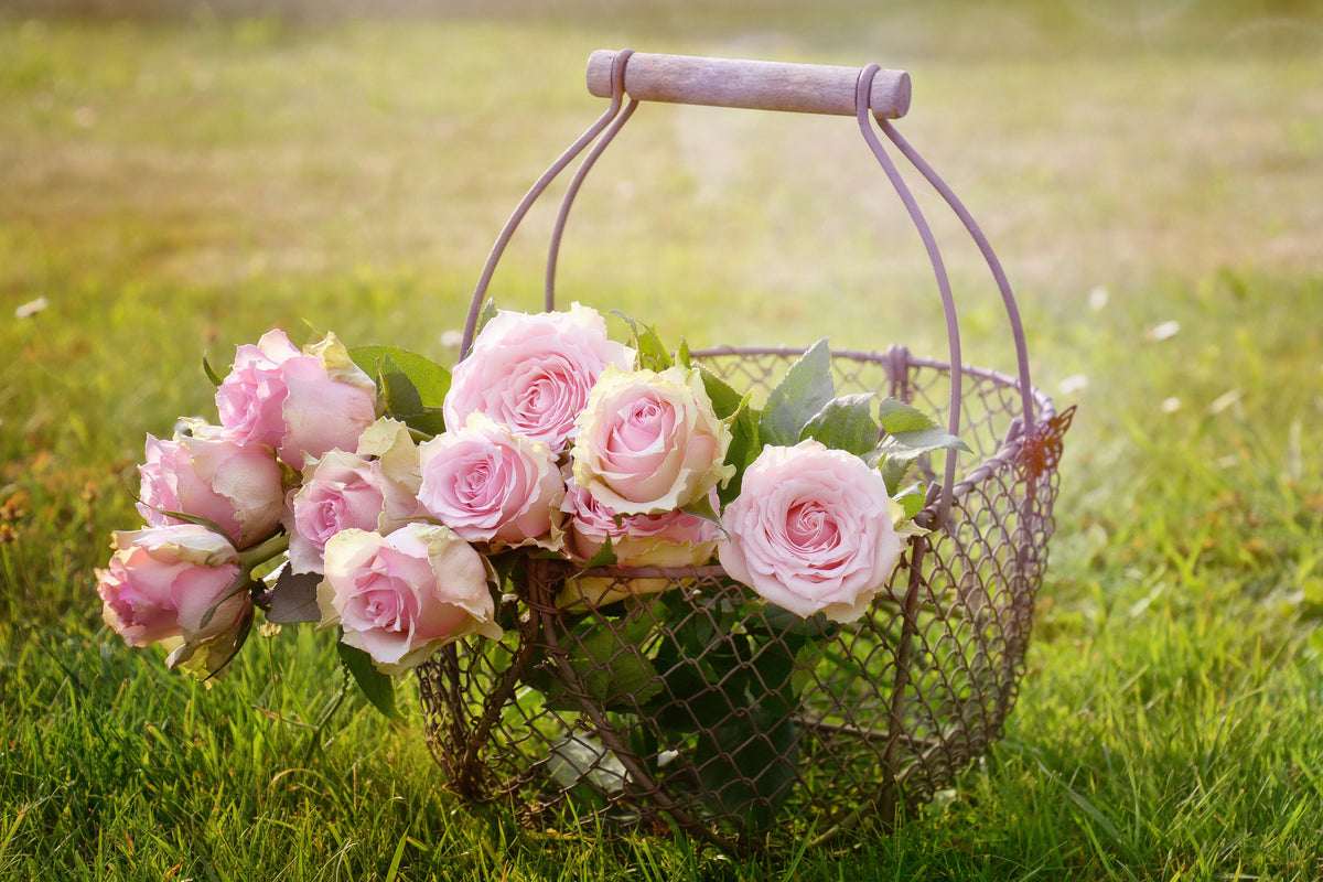 modern-3-piece-canvas-print-a-basket-full-of-roses