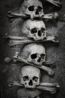 acrylic-print-skulls