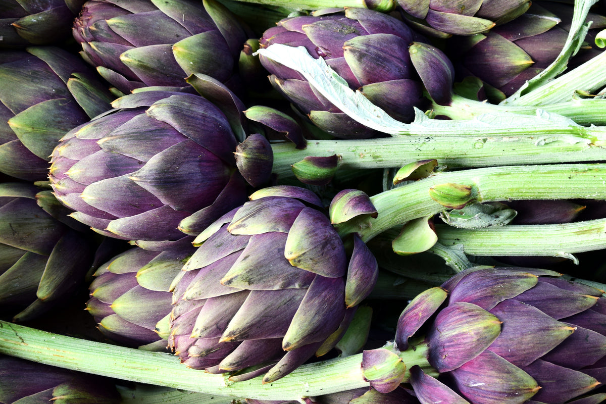 framedposter-print-fresh-artichokes