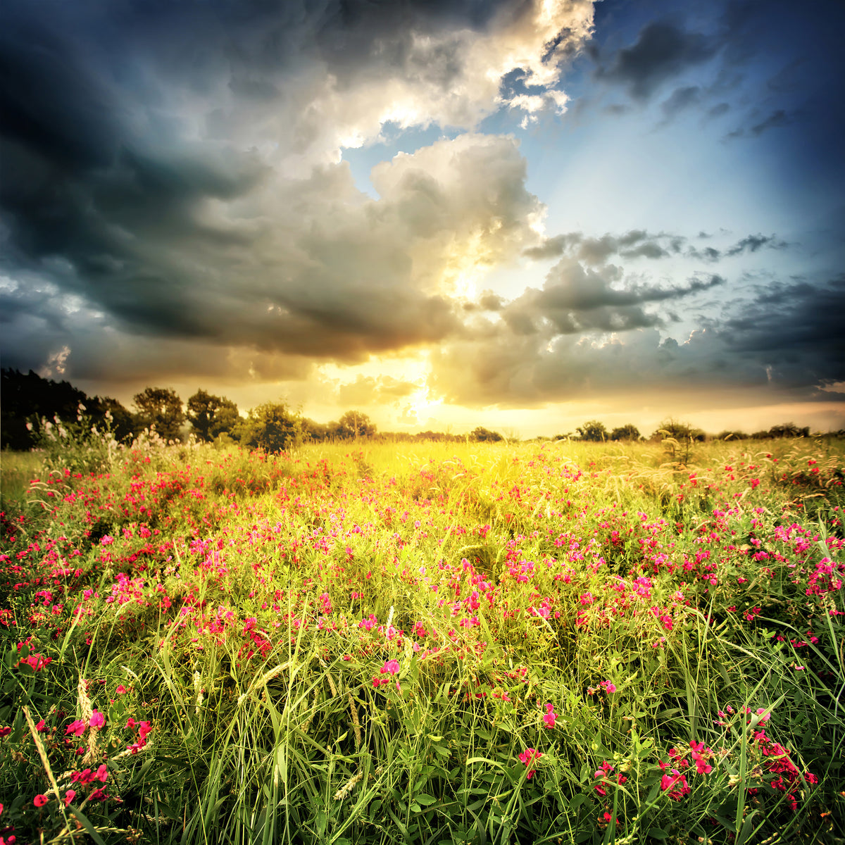 9-piece-canvas-print-flowers-landscape