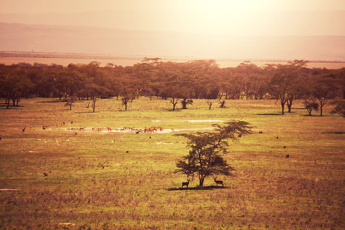 framedposter-print-picturesque-africa