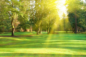 acrylic-print-in-the-park