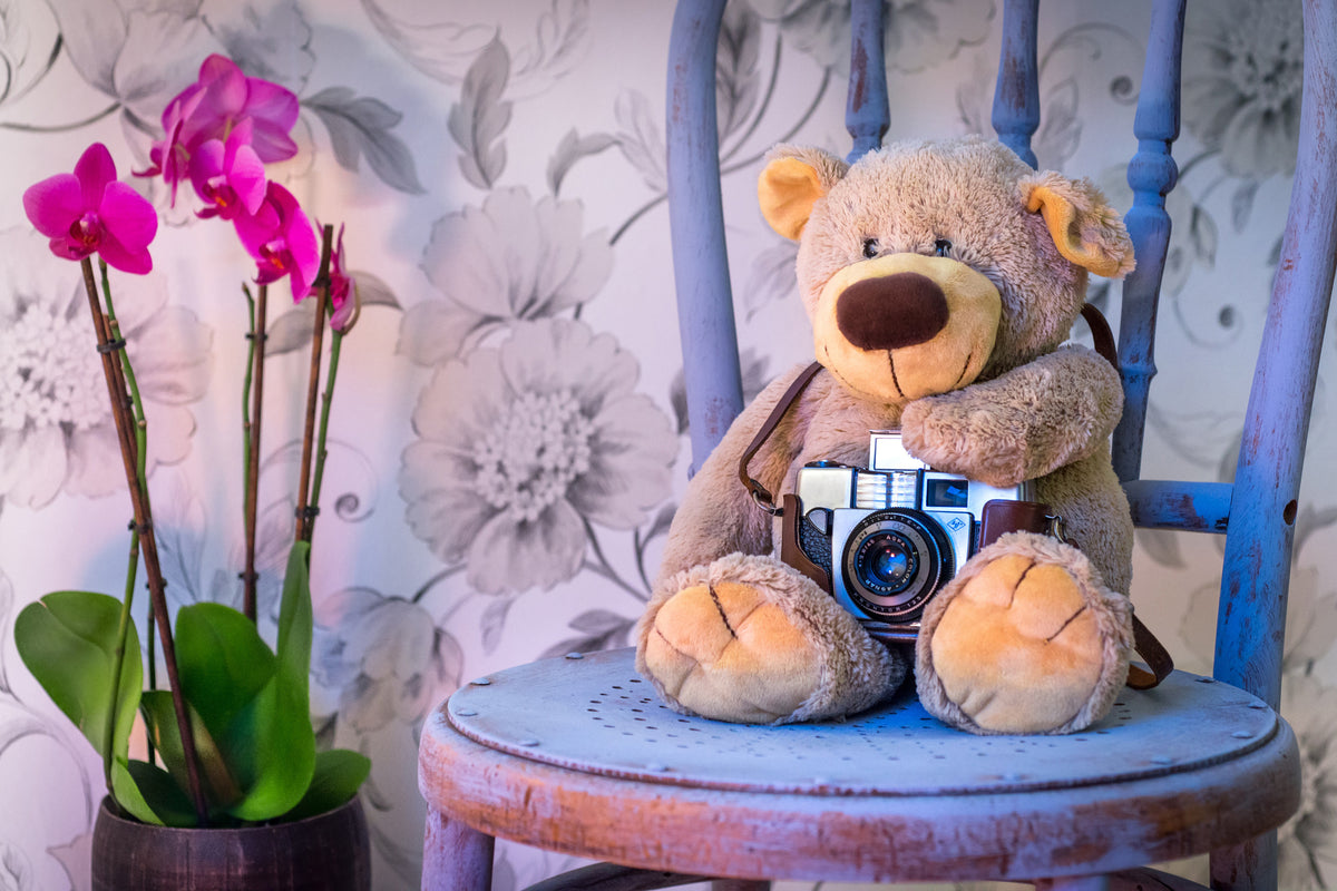 framedposter-print-camera-teddy-bear
