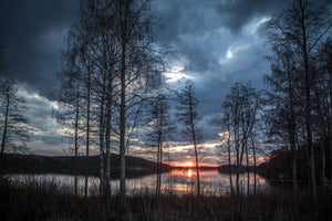 framedcanvas-print-trees-at-the-lake