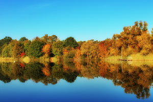 aluminium-print-autumn-reflections